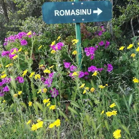 Domus De Janas Hébergement de vacances Costa Paradiso